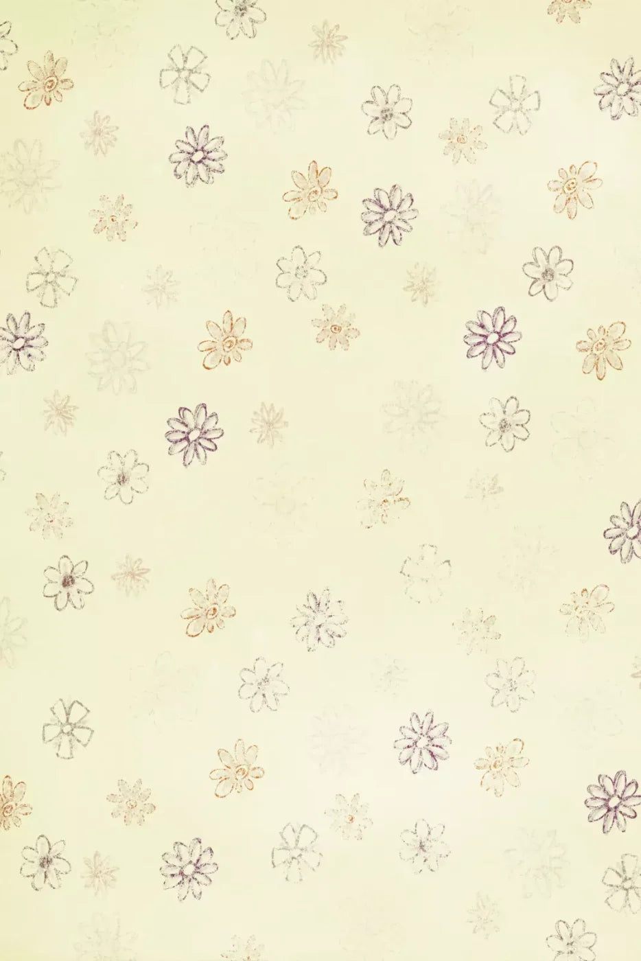 Coraline Backdrop