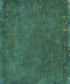 Green Textured Backdrop for Photography