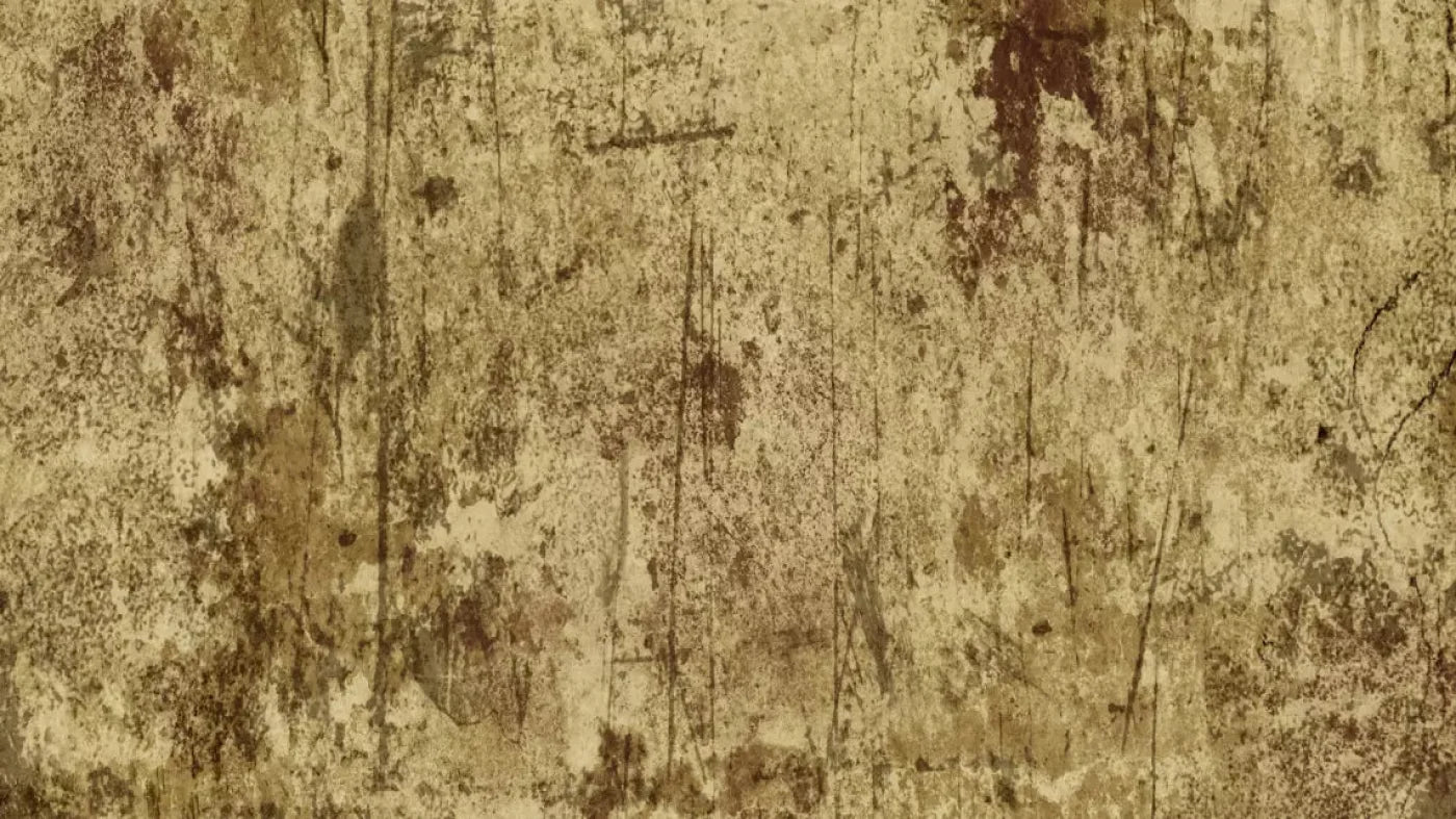 Cork 14X8 Ultracloth ( 168 X 96 Inch ) Backdrop