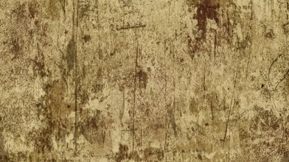 Cork 14X8 Ultracloth ( 168 X 96 Inch ) Backdrop