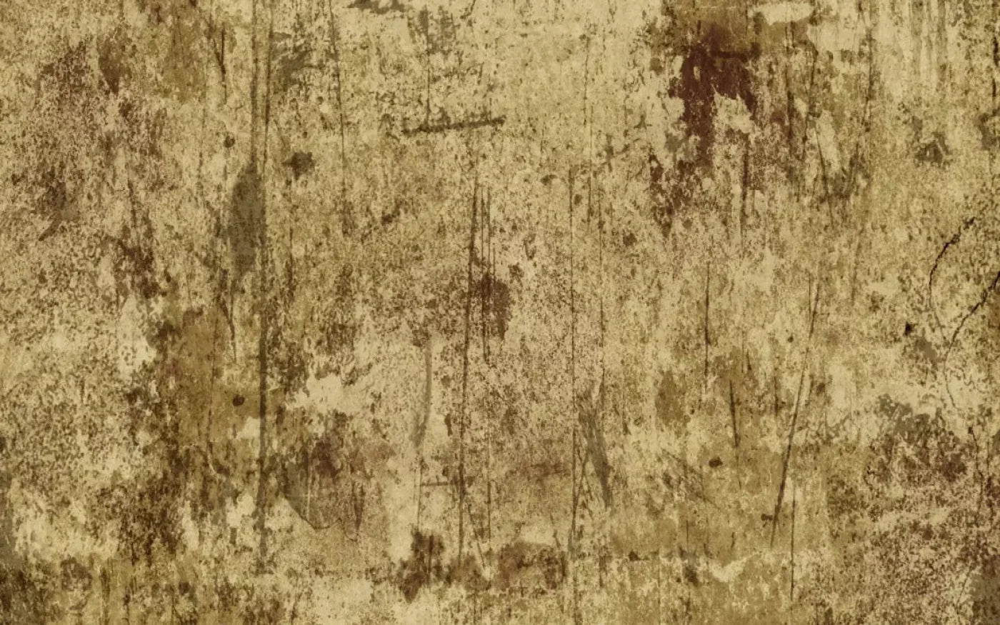 Cork 14X9 Ultracloth ( 168 X 108 Inch ) Backdrop