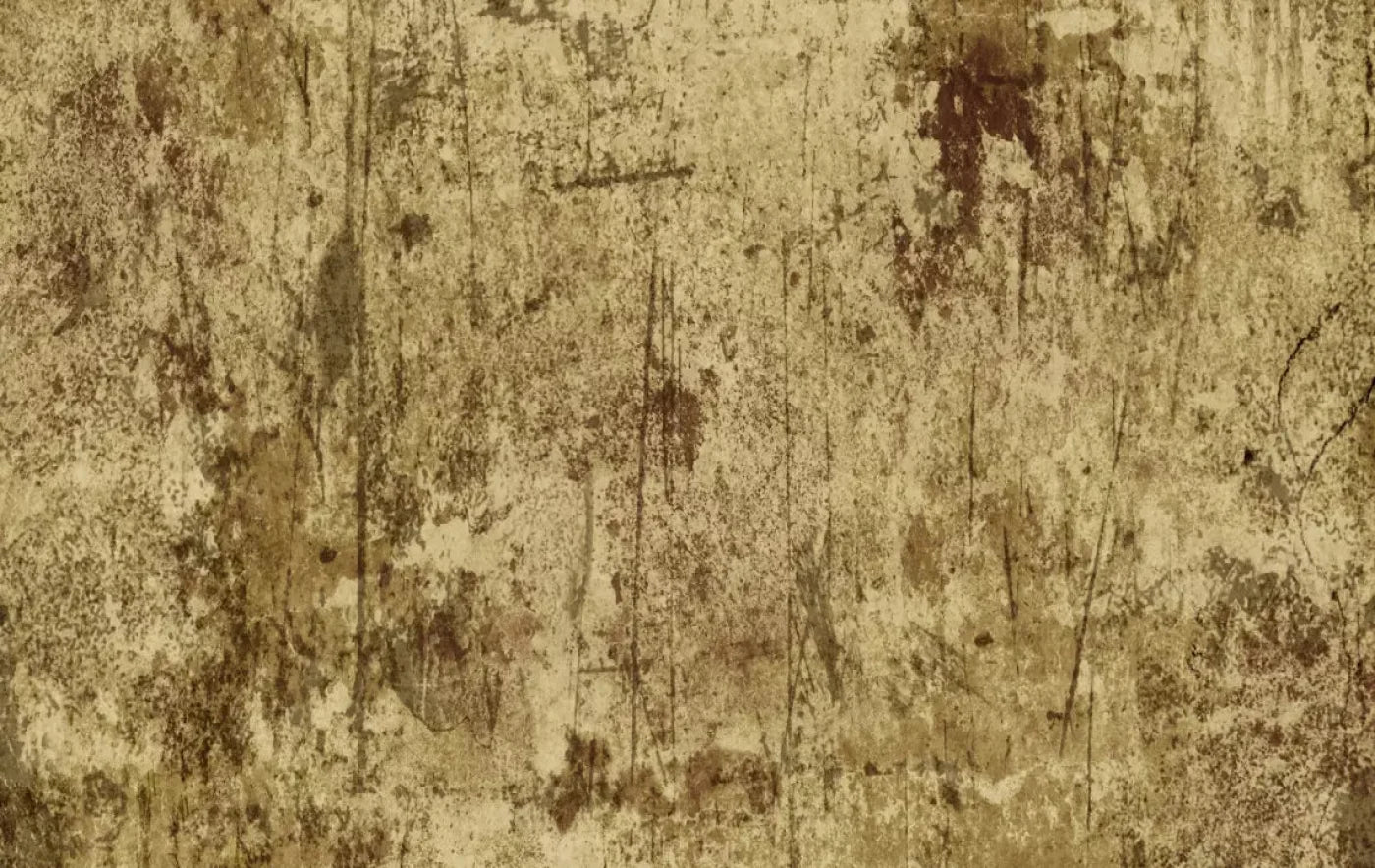 Cork 16X10 Ultracloth ( 192 X 120 Inch ) Backdrop