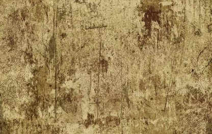 Cork 16X10 Ultracloth ( 192 X 120 Inch ) Backdrop