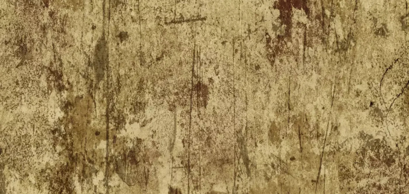 Cork 16X8 Ultracloth ( 192 X 96 Inch ) Backdrop