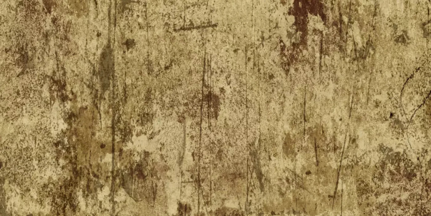 Cork 20X10 Ultracloth ( 240 X 120 Inch ) Backdrop