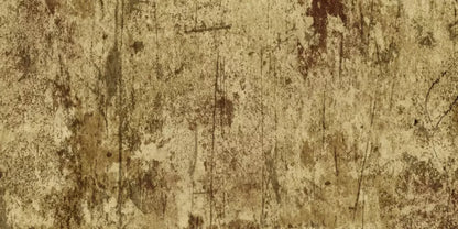Cork 20X10 Ultracloth ( 240 X 120 Inch ) Backdrop