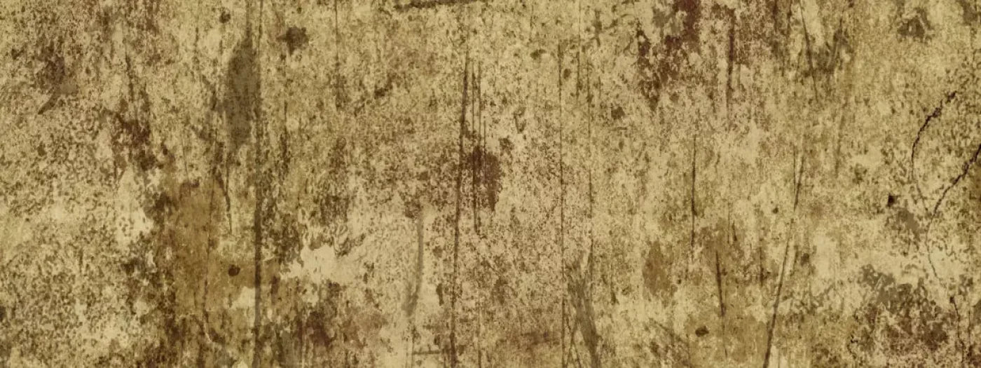 Cork 20X8 Ultracloth ( 240 X 96 Inch ) Backdrop