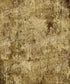 Brown Urban Grunge Backdrop for Photography
