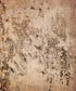 Beige Urban Grunge Backdrop for Photography