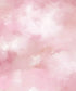 Pink  Backdrop for Photography
