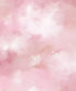 Pink  Backdrop for Photography