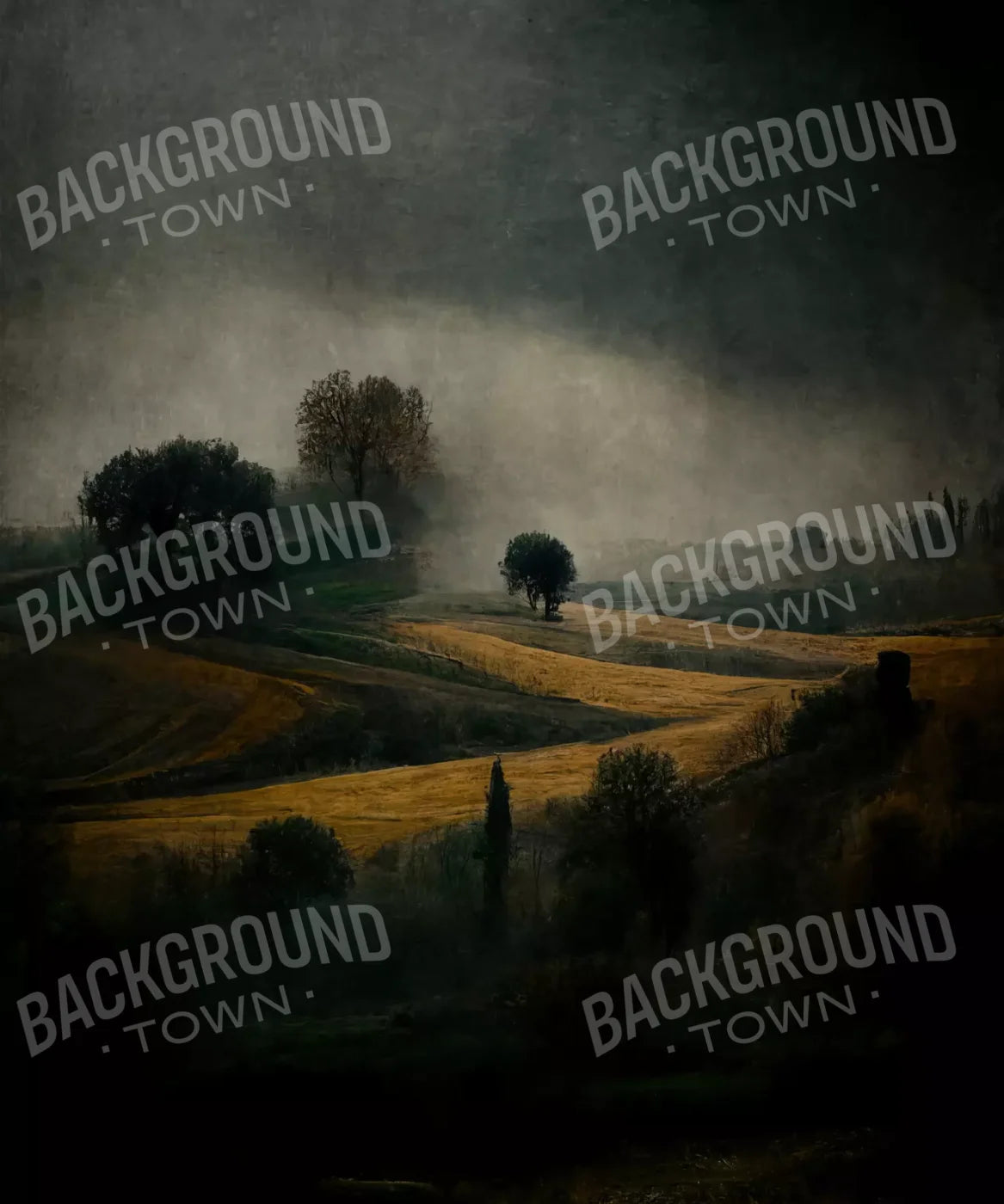 Gray Nature Backdrop for Photography