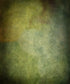 Green Vignette Backdrop for Photography