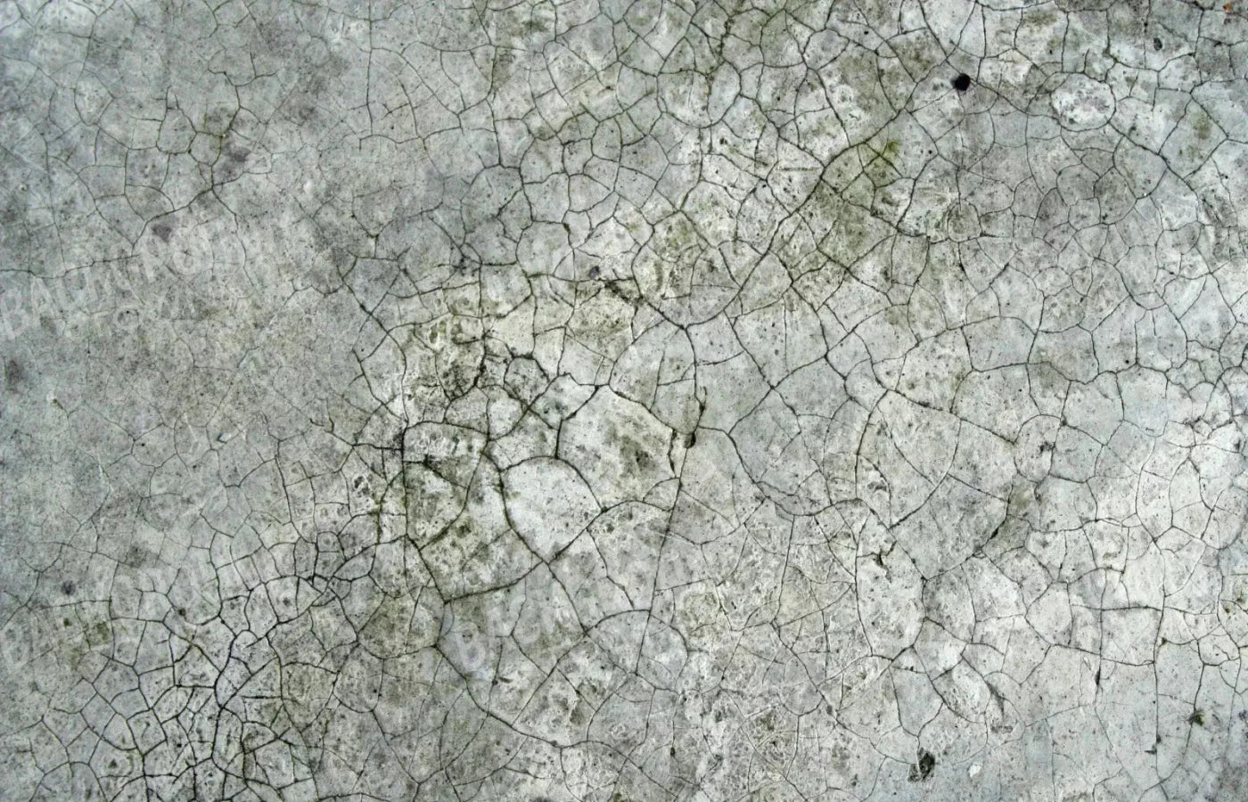 Cracked Concrete Light 12X8 Ultracloth ( 144 X 96 Inch ) Backdrop