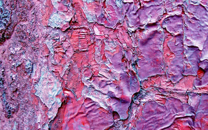 Cranny 14X9 Ultracloth ( 168 X 108 Inch ) Backdrop