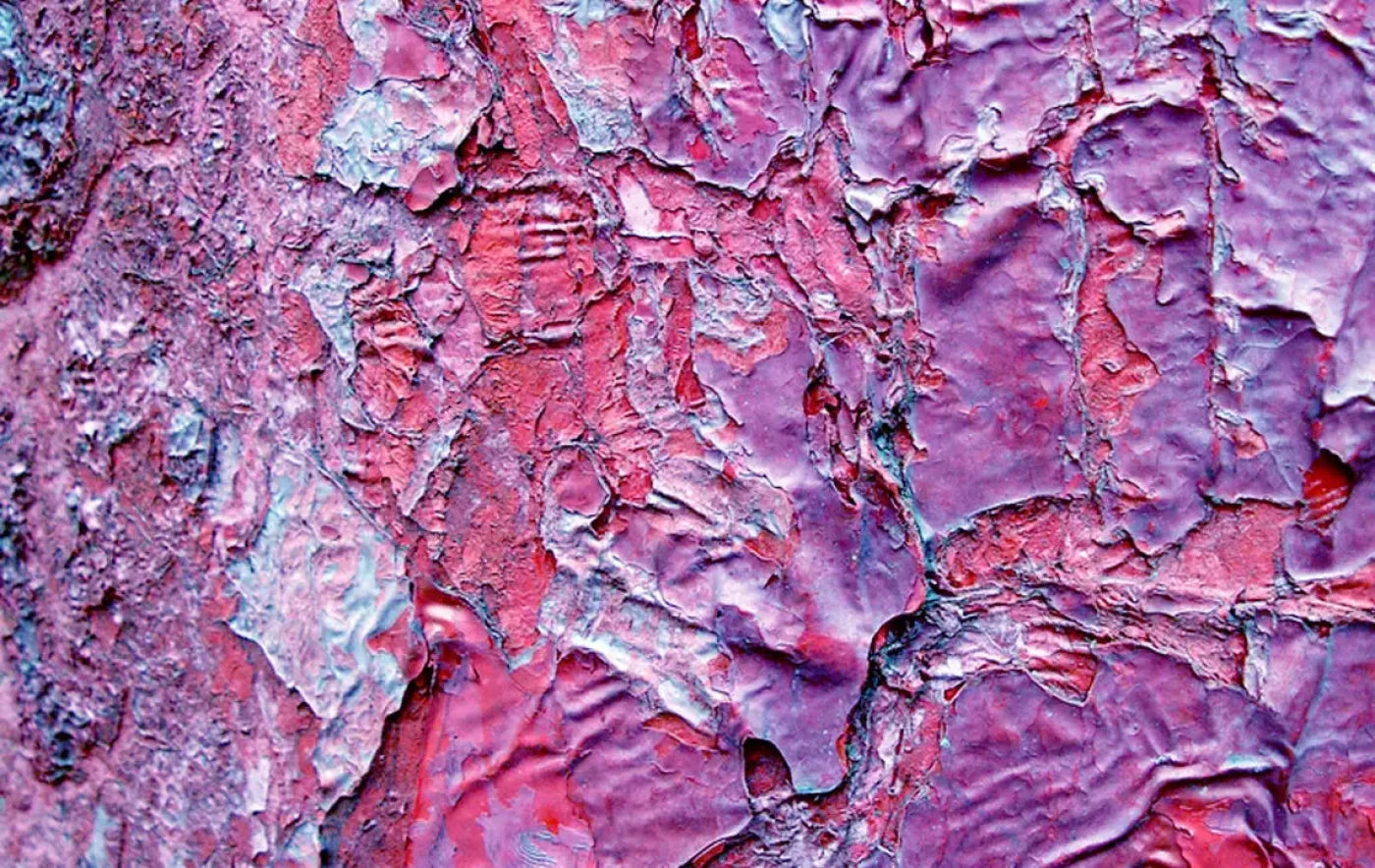 Cranny 16X10 Ultracloth ( 192 X 120 Inch ) Backdrop