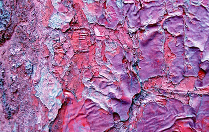 Cranny 16X10 Ultracloth ( 192 X 120 Inch ) Backdrop