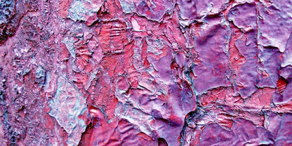 Cranny 20X10 Ultracloth ( 240 X 120 Inch ) Backdrop