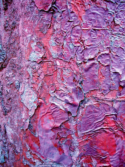 Cranny 5X68 Fleece ( 60 X 80 Inch ) Backdrop