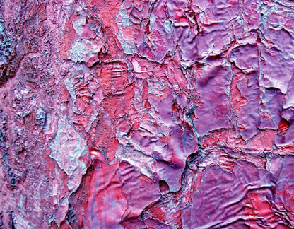 Cranny 8X6 Fleece ( 96 X 72 Inch ) Backdrop