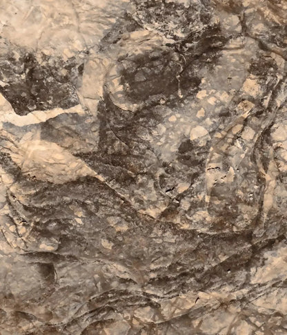 Crater 10X12 Ultracloth ( 120 X 144 Inch ) Backdrop