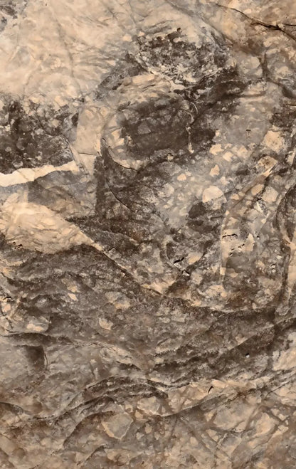 Crater 10X16 Ultracloth ( 120 X 192 Inch ) Backdrop