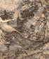 Beige Urban Grunge Backdrop for Photography