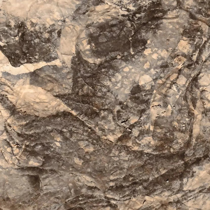 Crater Backdrop