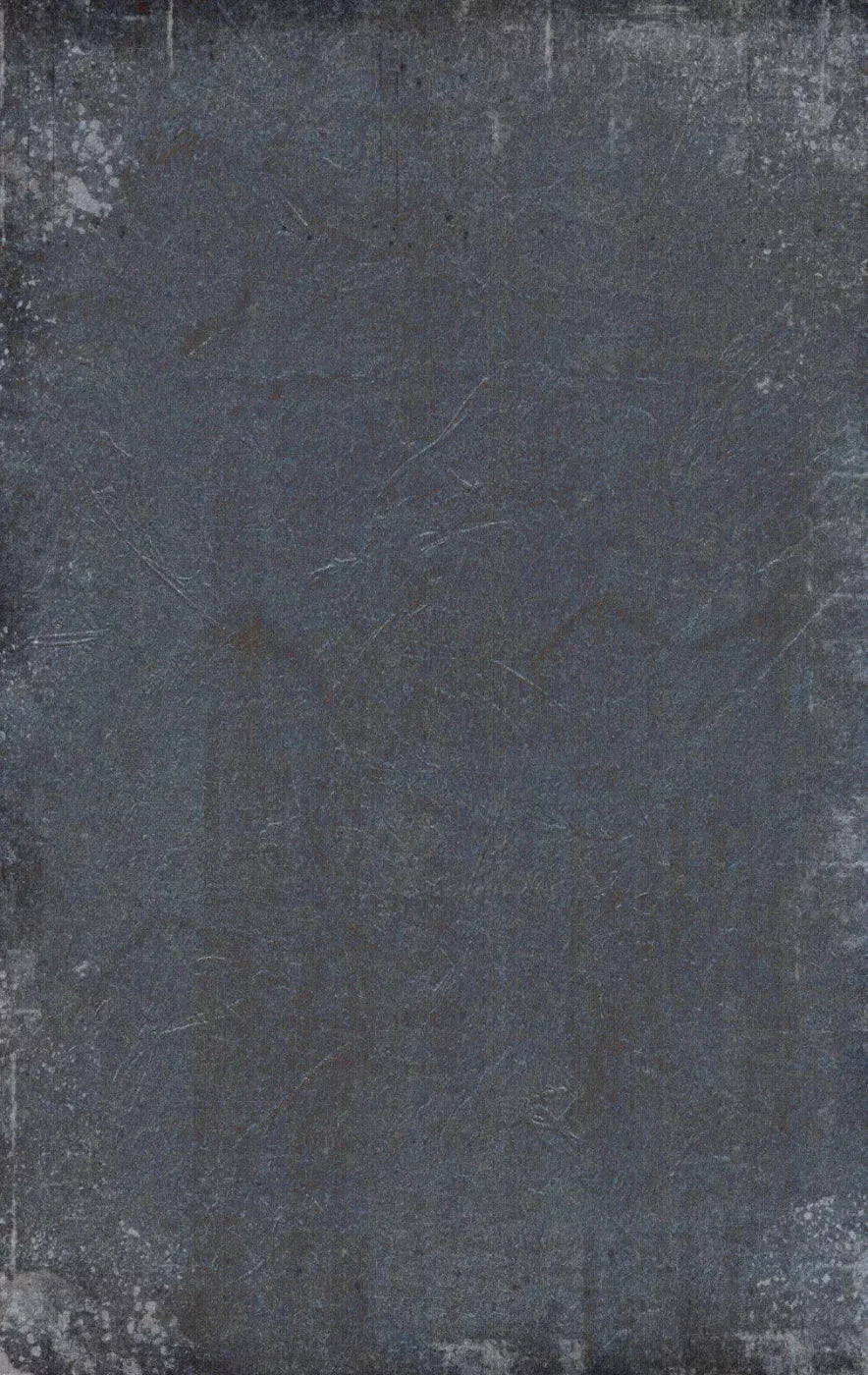 Credence 10X16 Ultracloth ( 120 X 192 Inch ) Backdrop