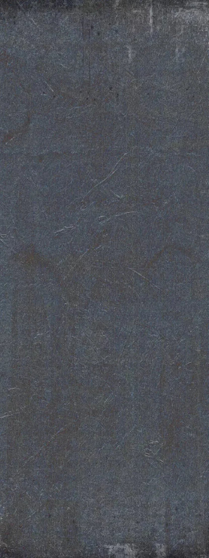 Credence 8X20 Ultracloth ( 96 X 240 Inch ) Backdrop