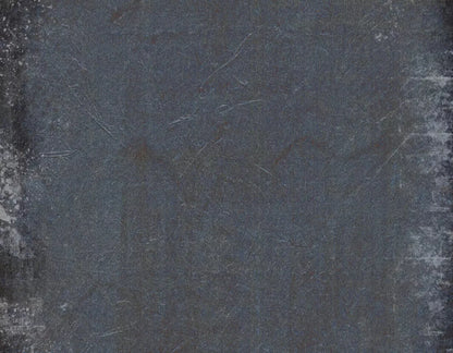 Credence 8X6 Fleece ( 96 X 72 Inch ) Backdrop