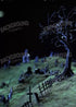 Creepy Tree In Graveyard 5’X7’ Ultracloth (60 X 84 Inch) Backdrop