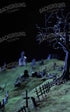 Creepy Tree In Graveyard 5’X8’ Ultracloth (60 X 96 Inch) Backdrop