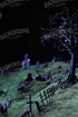 Creepy Tree In Graveyard 8’X12’ Ultracloth (96 X 144 Inch) Backdrop