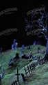 Creepy Tree In Graveyard 8’X14’ Ultracloth (96 X 168 Inch) Backdrop