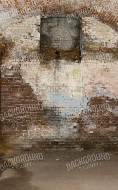 Creepy Tunnel 9X14 Ultracloth ( 108 X 168 Inch ) Backdrop