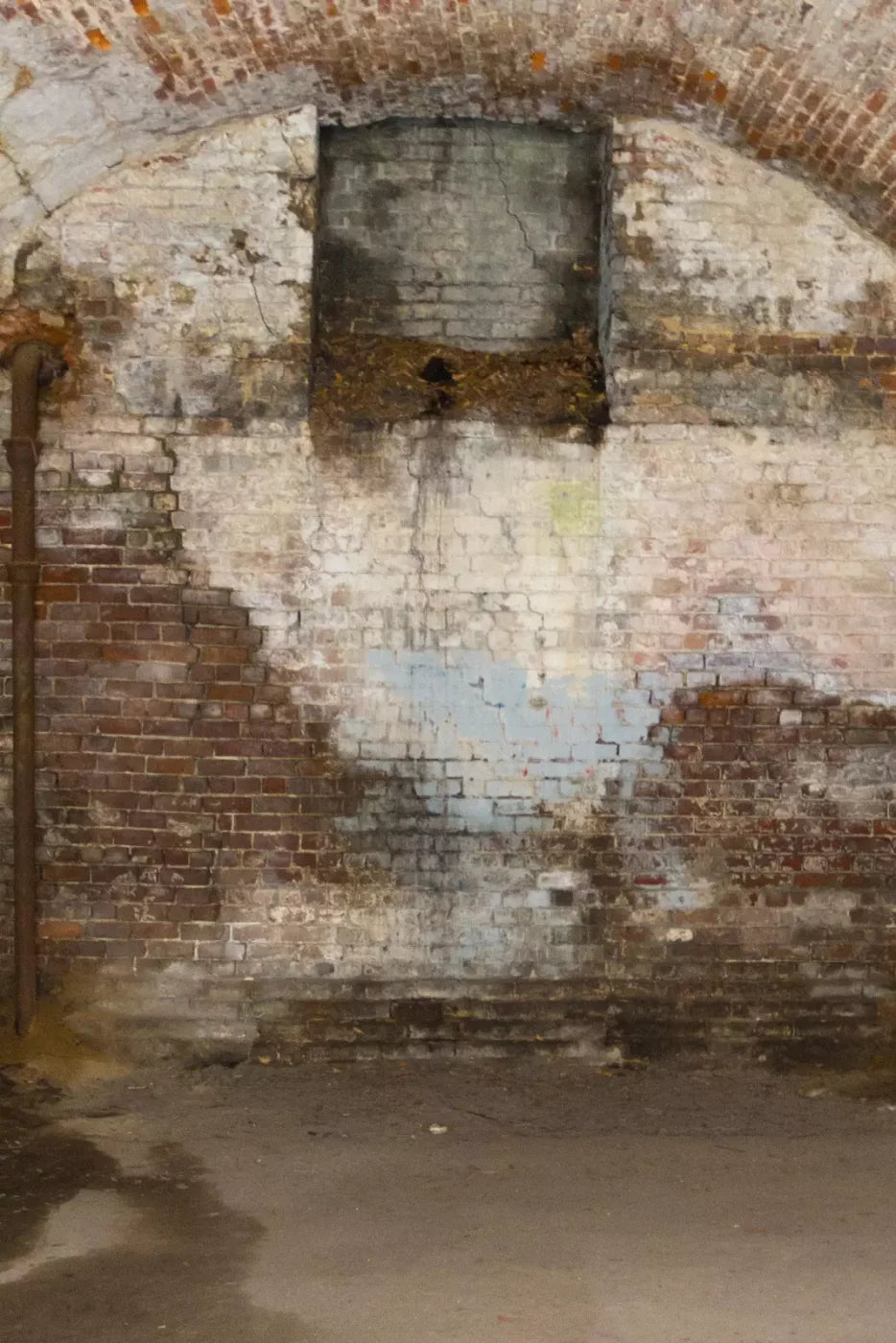 Creepy Tunnel Backdrop