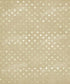 Beige Party Backdrop for Photography