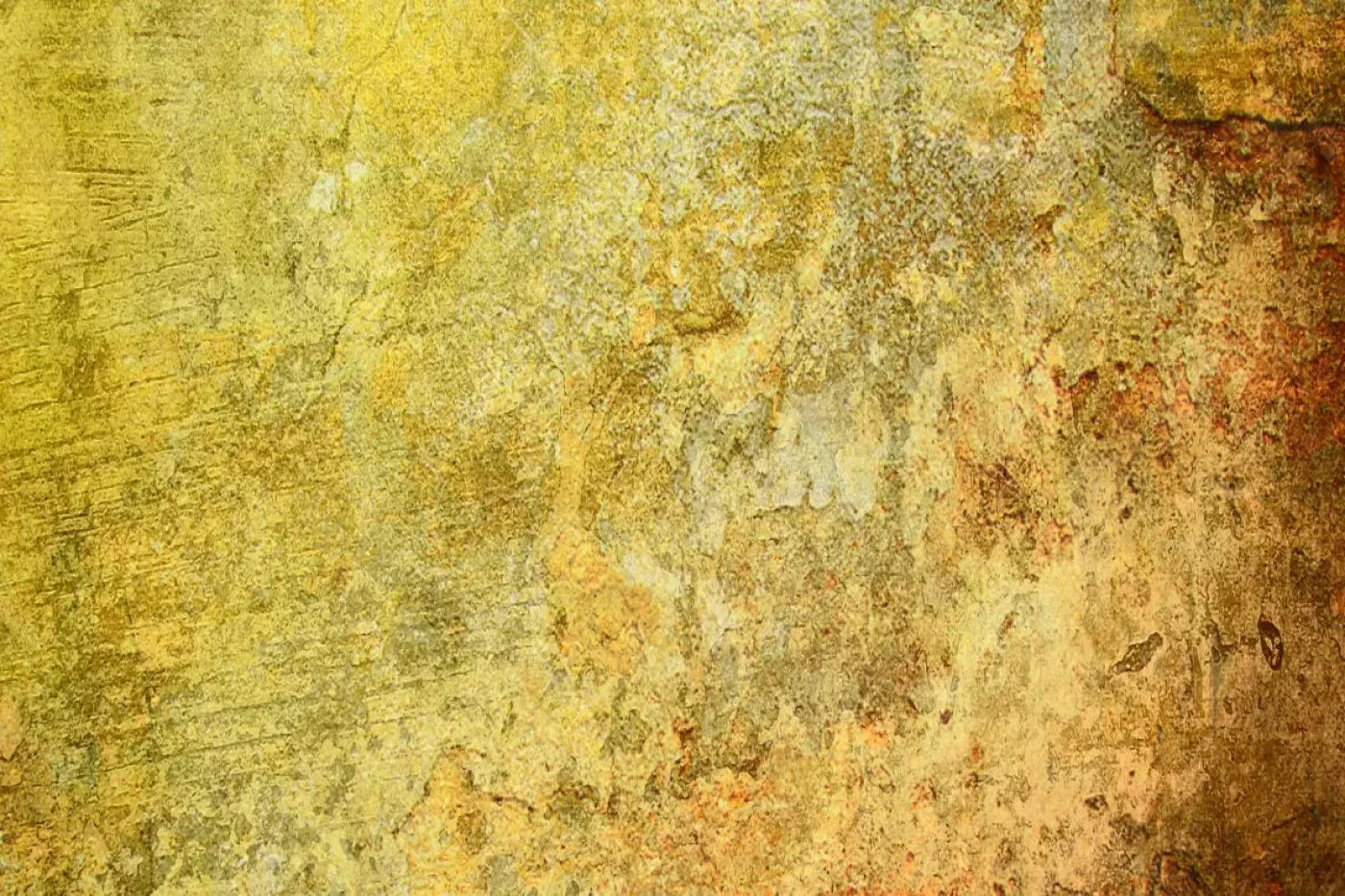 Cryptic Backdrop
