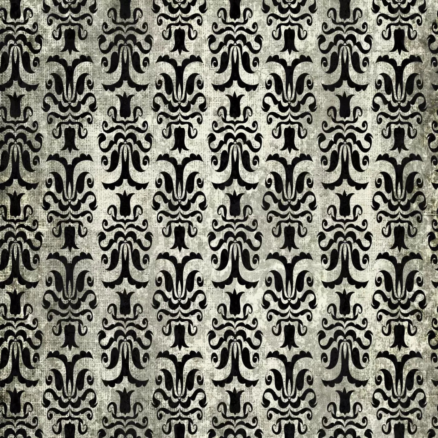 Cultured Backdrop
