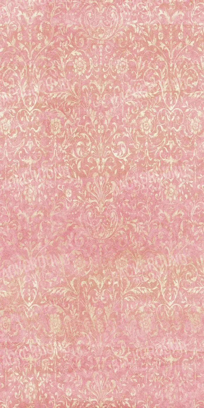 Cynthia 10X20 Ultracloth ( 120 X 240 Inch ) Backdrop