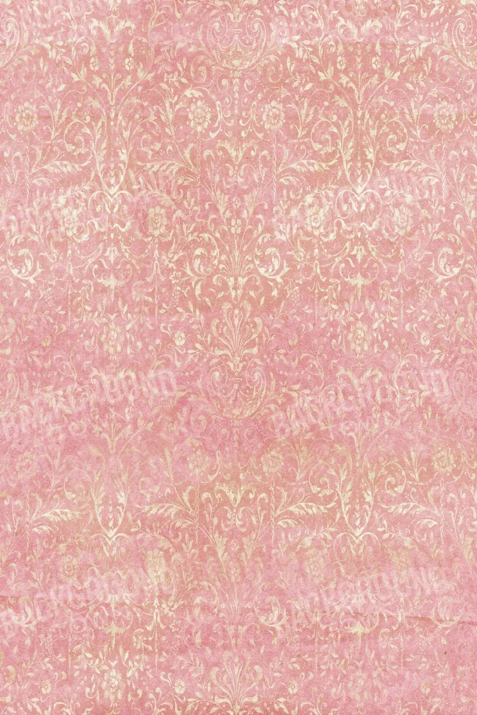 Cynthia 5X8 Ultracloth ( 60 X 96 Inch ) Backdrop