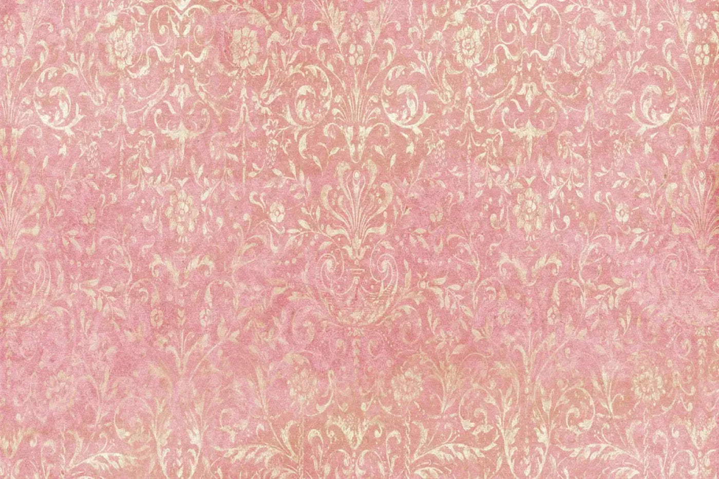 Cynthia Backdrop