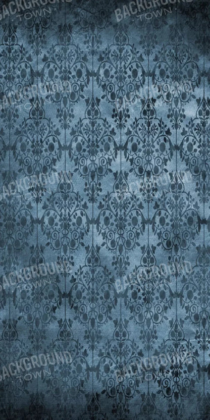 Damion 10X20 Ultracloth ( 120 X 240 Inch ) Backdrop