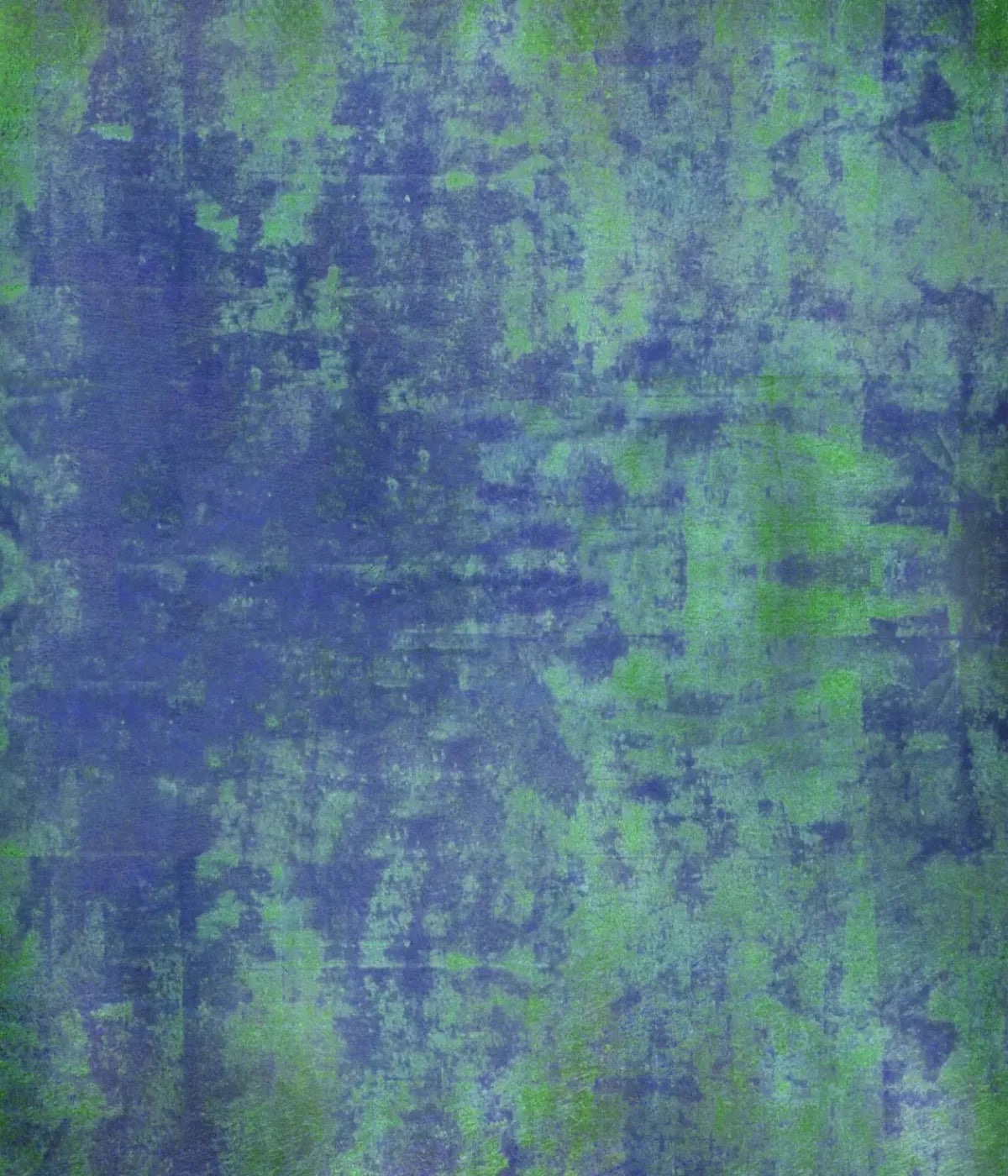 Daniel 10X12 Ultracloth ( 120 X 144 Inch ) Backdrop