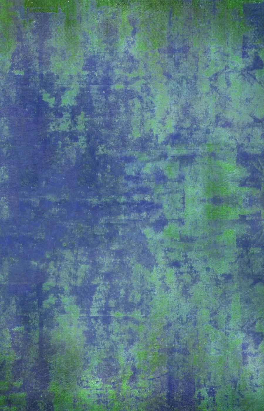 Daniel 8X12 Ultracloth ( 96 X 144 Inch ) Backdrop