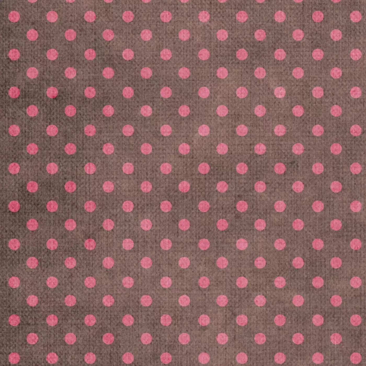 Danielle Backdrop