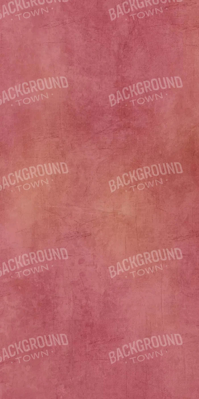 Danique 10X20 Ultracloth ( 120 X 240 Inch ) Backdrop
