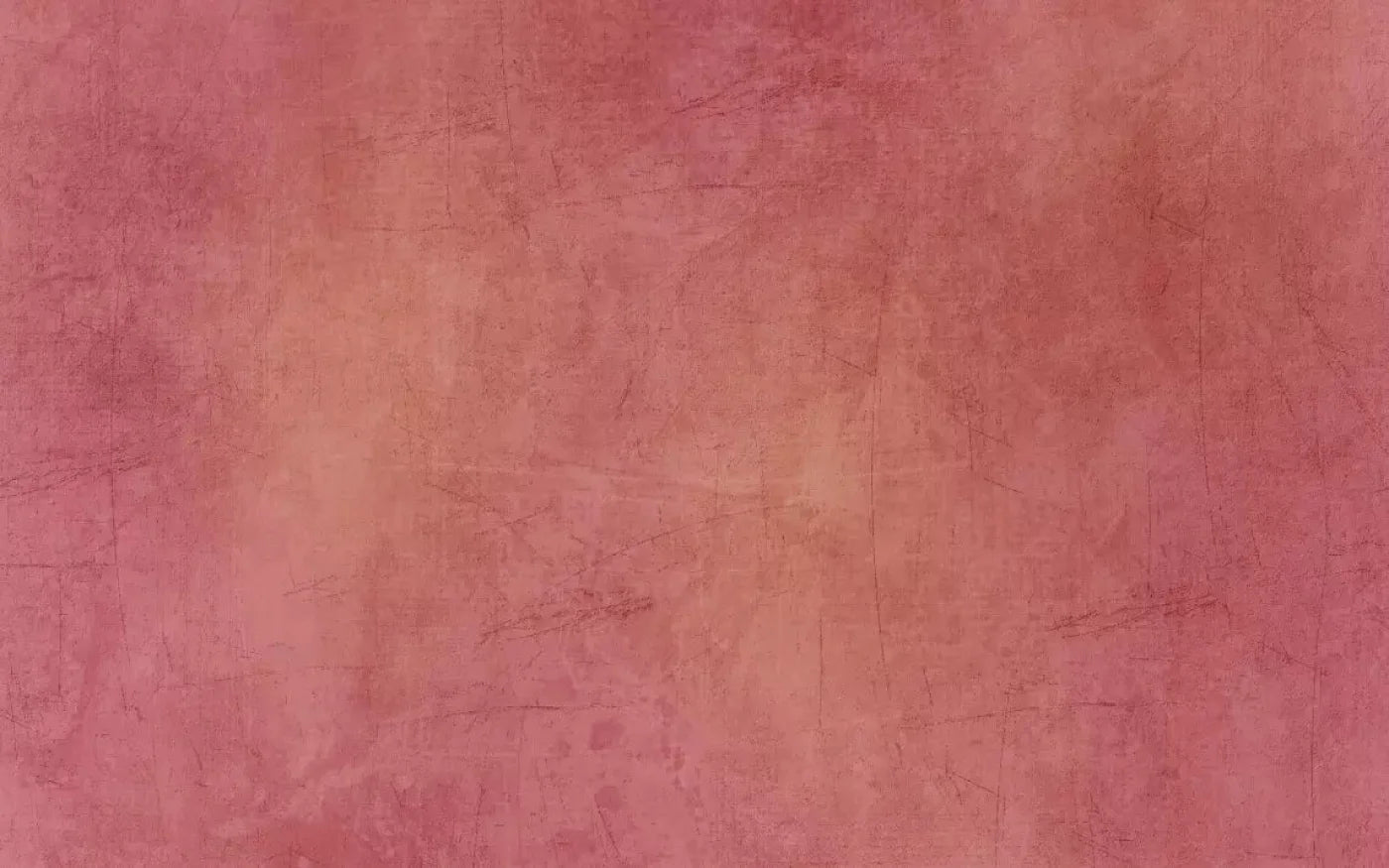 Danique 14X9 Ultracloth ( 168 X 108 Inch ) Backdrop