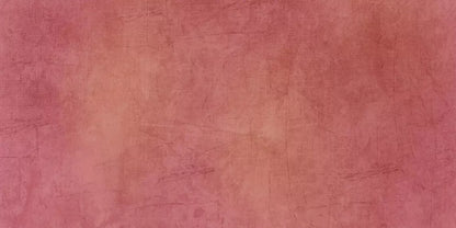 Danique 20X10 Ultracloth ( 240 X 120 Inch ) Backdrop
